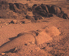 Assuan, Steinbruch